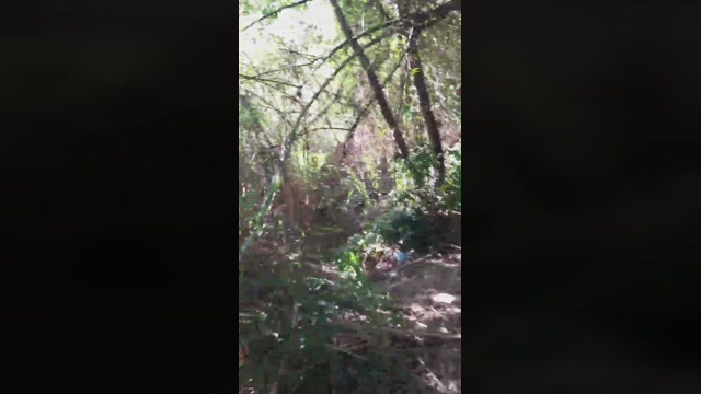 Synbaherrera  10-11-2022